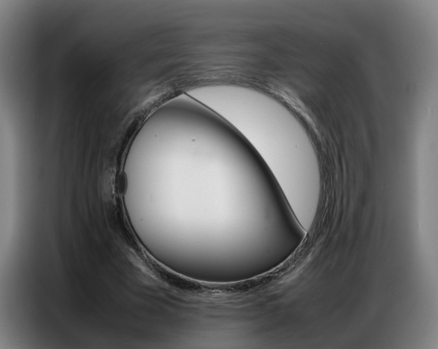 X0000087320585200704200741