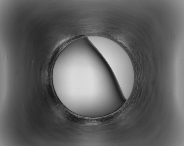 X0000087320587200704200741