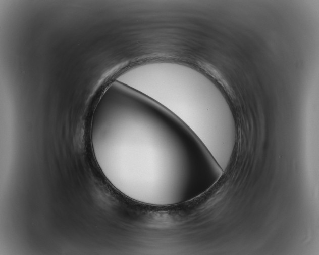 X0000087320588200704200741