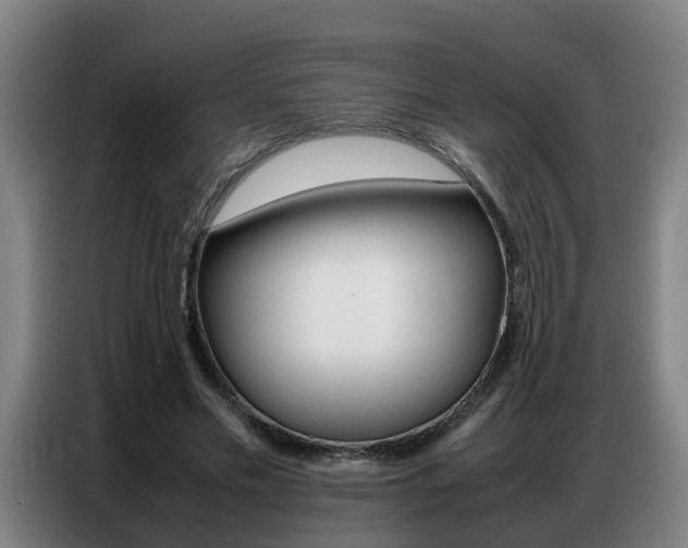 X0000087320589200704200741
