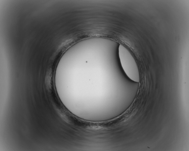 X0000087320590200704200741
