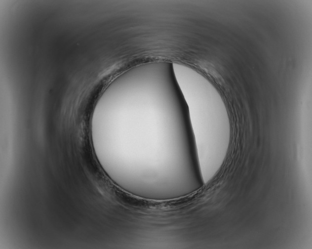 X0000087320591200704200741