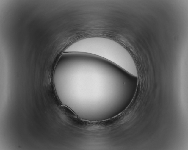X0000087320593200704200741