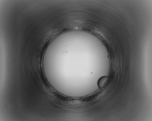 X0000087320594200704200741