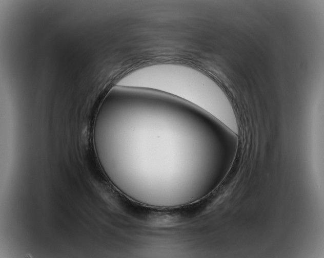 X0000087320597200704200741