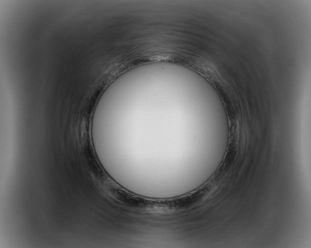 X0000087320598200704200741