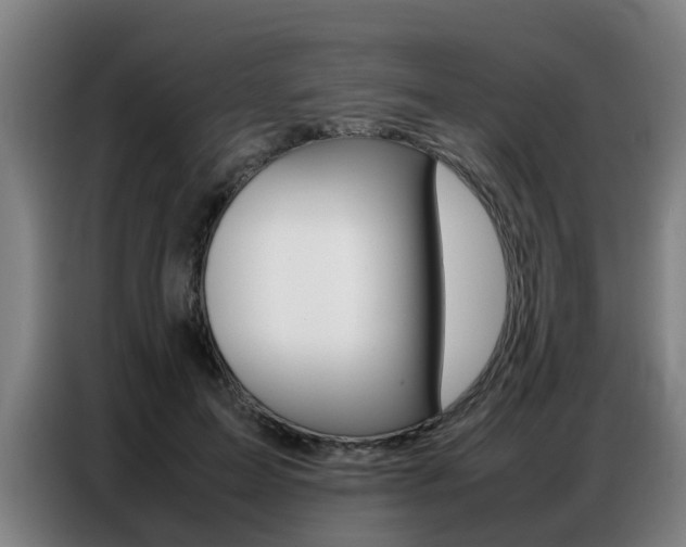 X0000087320599200704200741