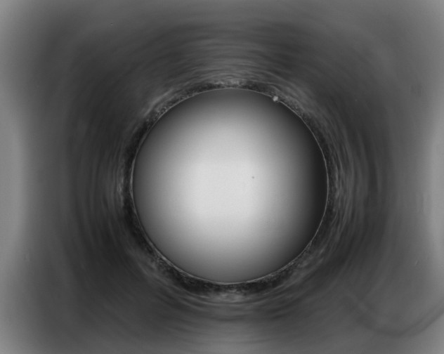 X0000087320600200704200741