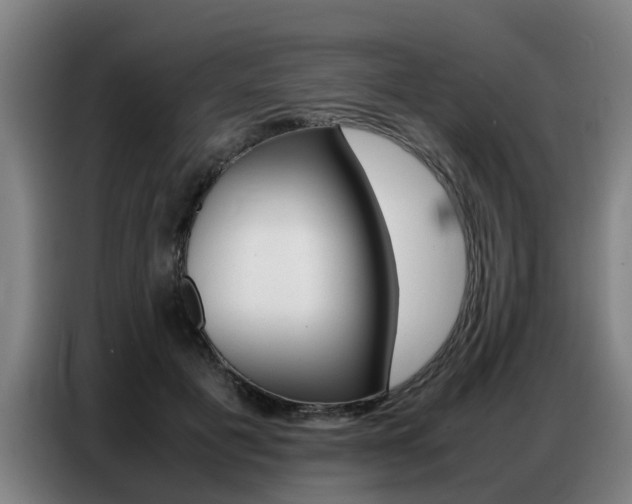 X0000087320601200704200741