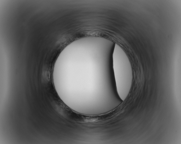 X0000087320602200704200741