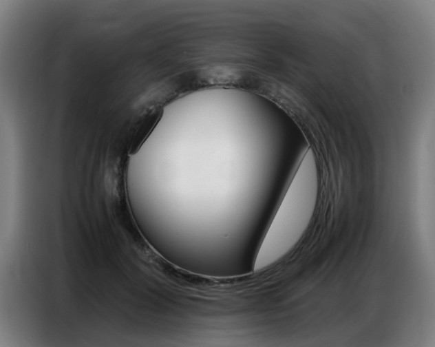X0000087320604200704200741