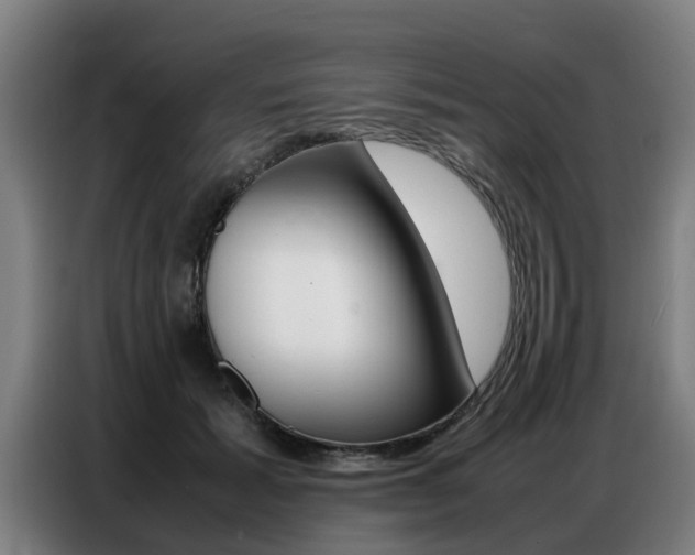 X0000087320605200704200741