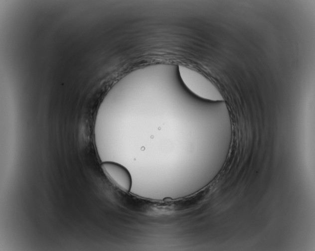 X0000087320606200704200741