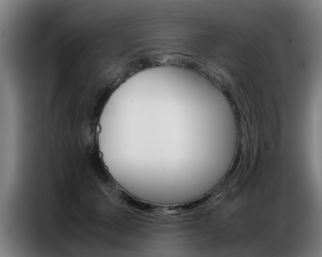 X0000087320607200704200741