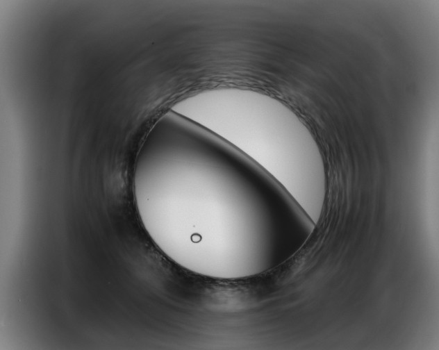 X0000087320608200704200741
