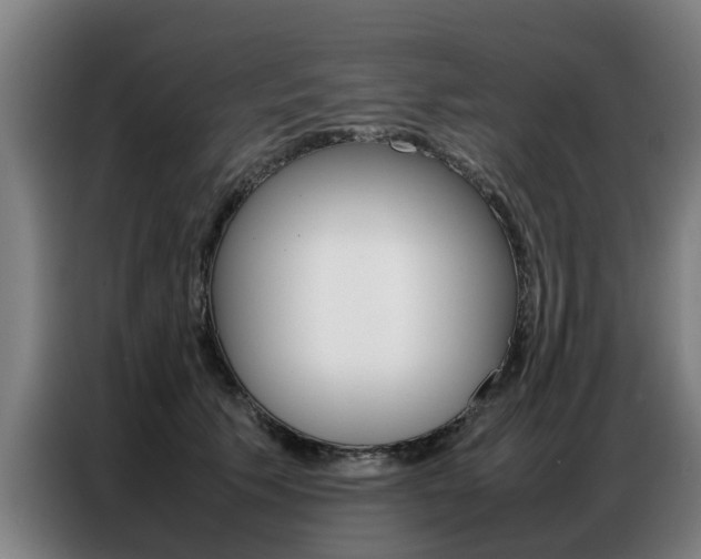 X0000087320609200704200741