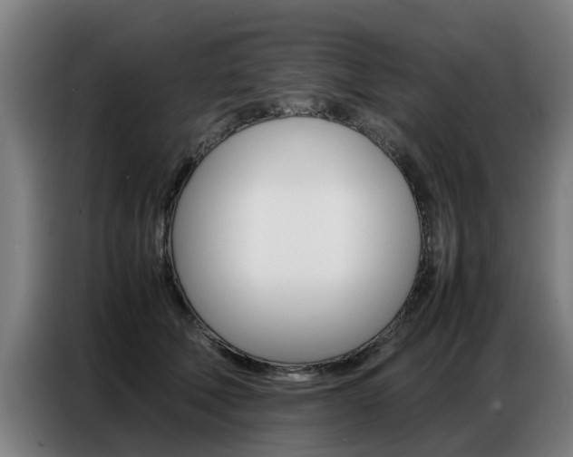 X0000087320610200704200740