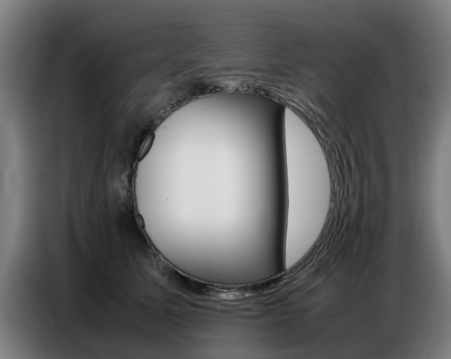 X0000087320611200704200740