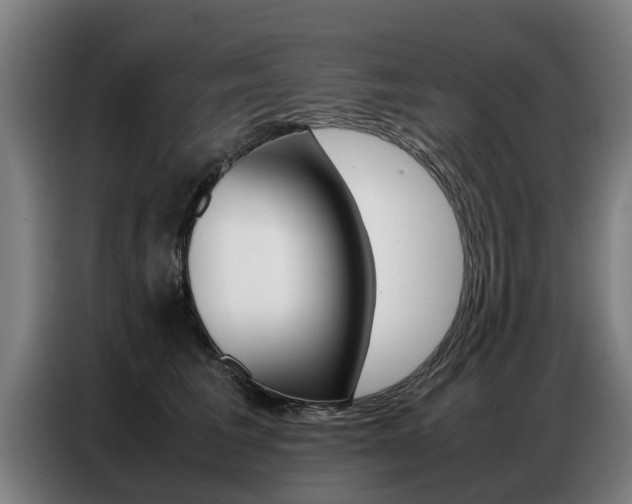 X0000087320613200704200740