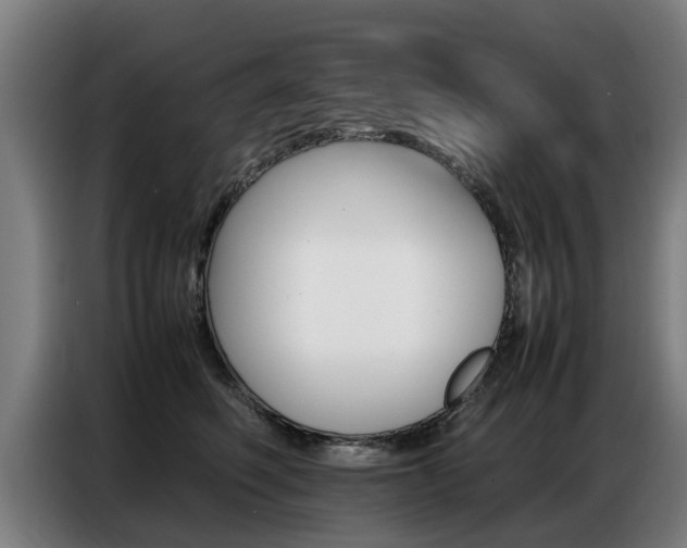 X0000087320614200704200740