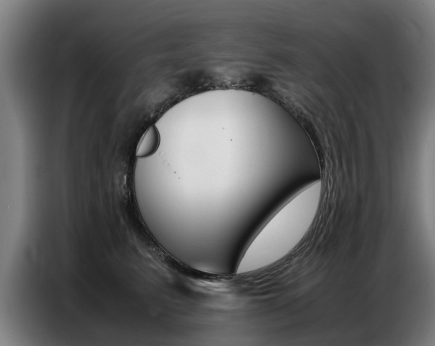 X0000087320615200704200740