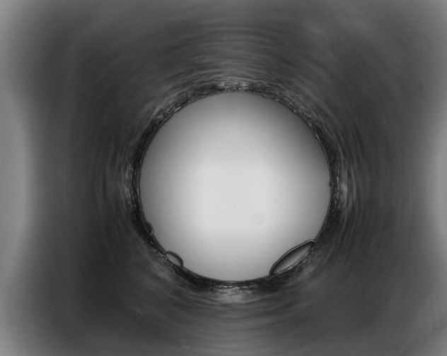 X0000087320616200704200740