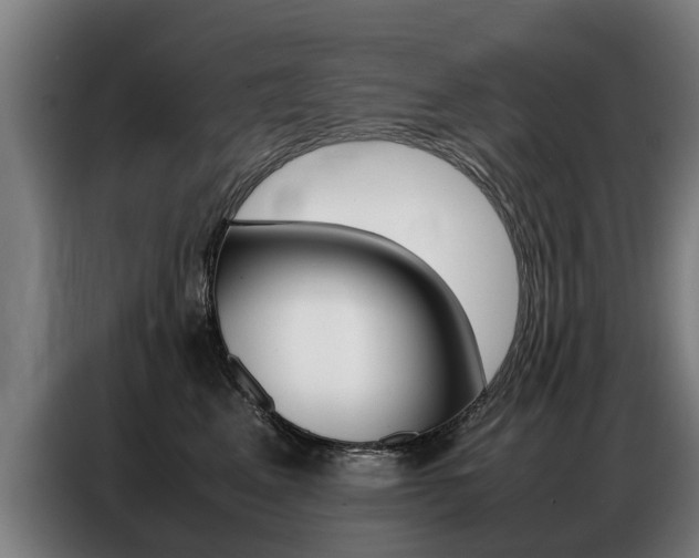 X0000087320617200704200740