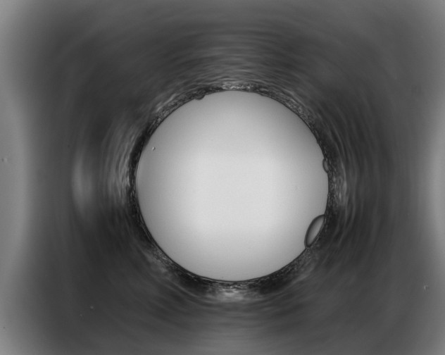 X0000087320618200704200740
