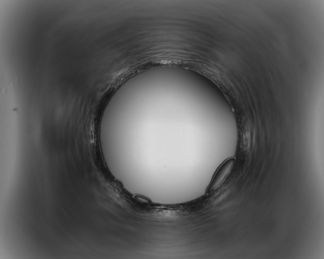 X0000087320620200704200740