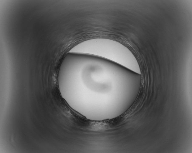 X0000087320621200704200740