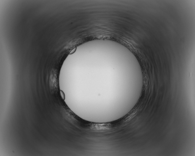 X0000087320622200704200740