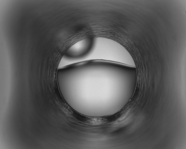X0000087320623200704200740