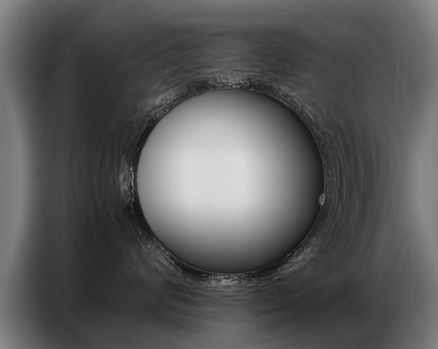 X0000087320624200704200740