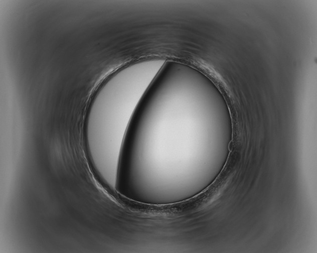 X0000087320625200704200740