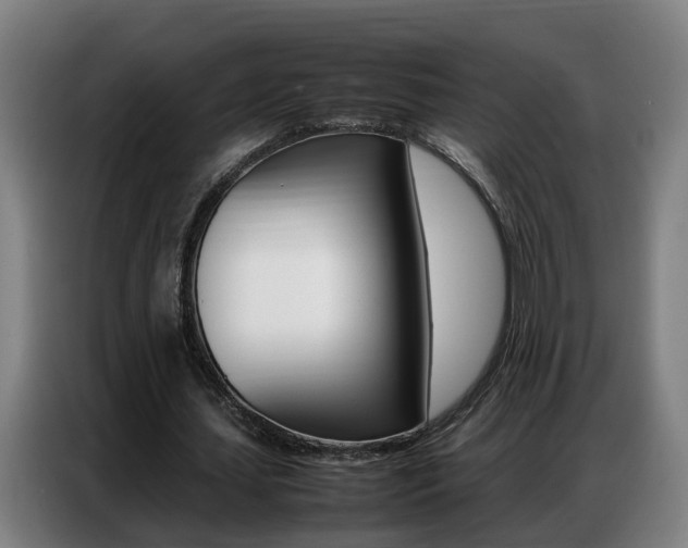 X0000087320627200704200740
