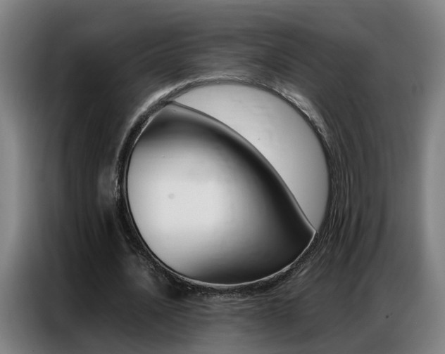 X0000087320628200704200740