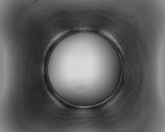 X0000087320629200704200740