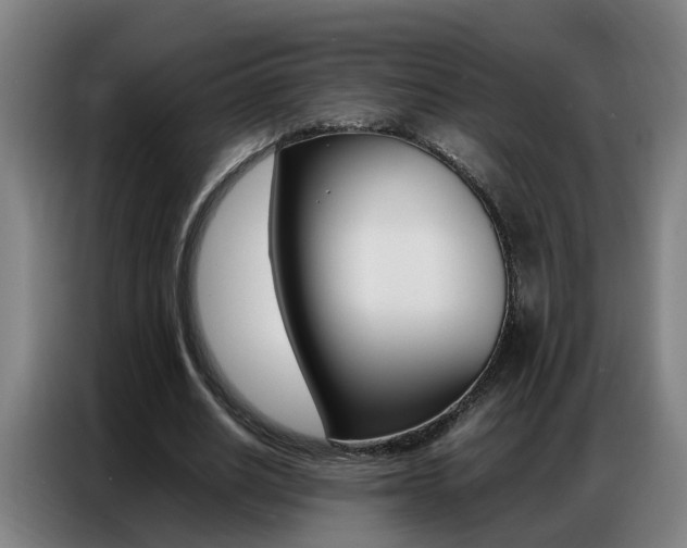 X0000087320630200704200740