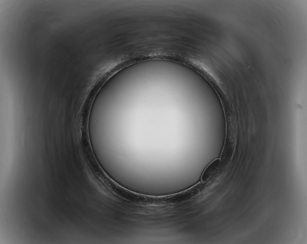 X0000087320631200704200740