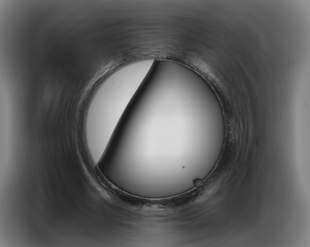 X0000087320634200704200740