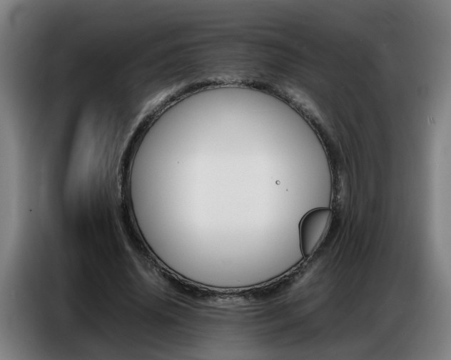 X0000087320636200704200740