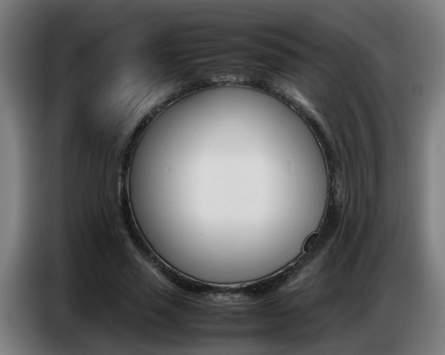 X0000087320637200704200740