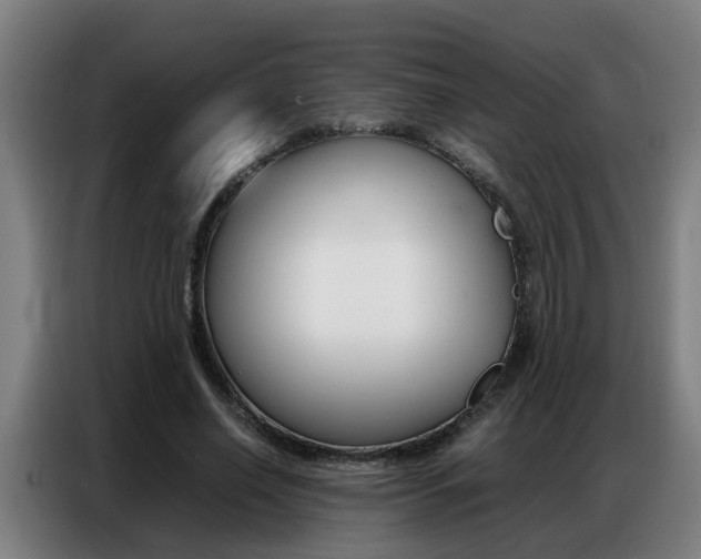 X0000087320638200704200740