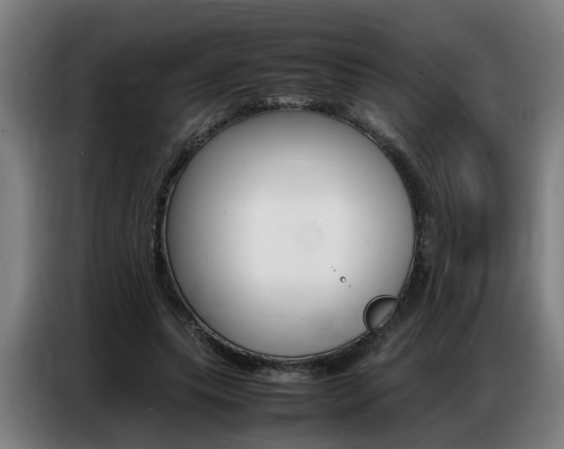 X0000087320639200704200740