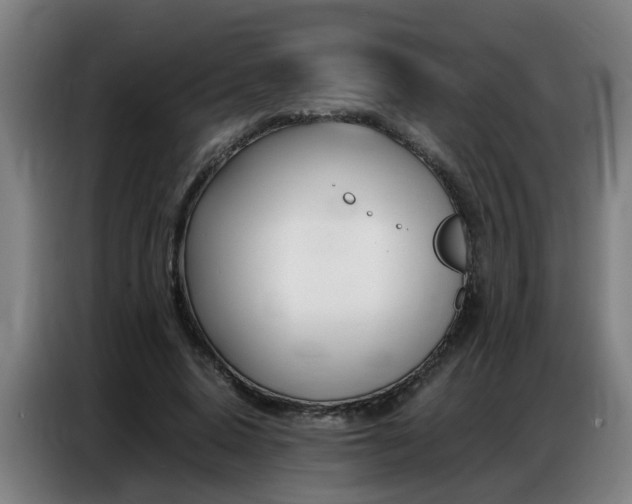 X0000087320640200704200740