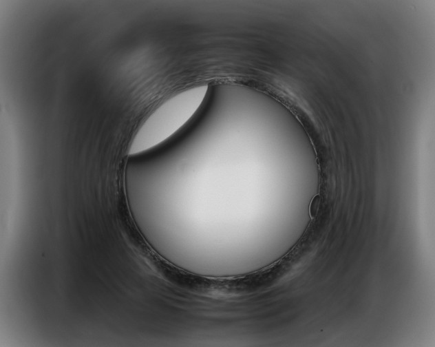 X0000087320641200704200740