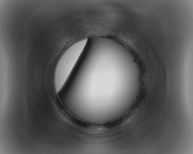 X0000087320642200704200740