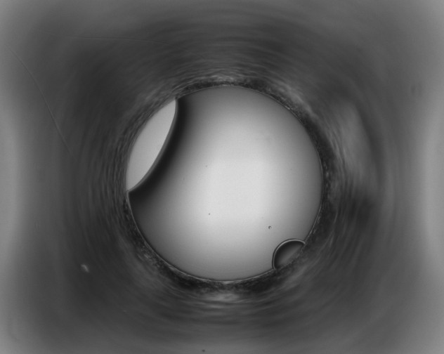 X0000087320643200704200740