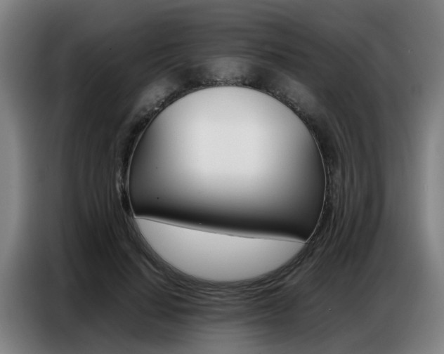 X0000087320644200704200740