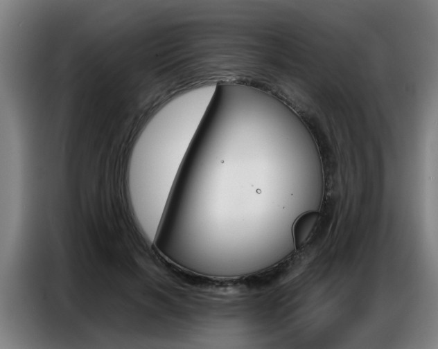 X0000087320646200704200740